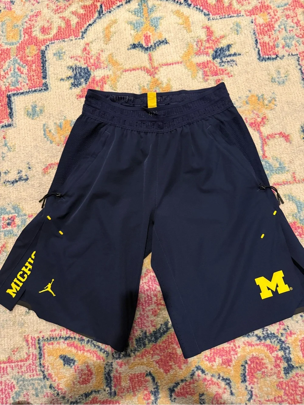 Jordan Men's Michigan Shorts